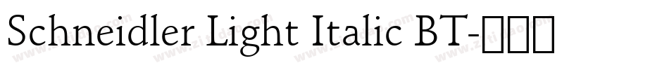 Schneidler Light Italic BT字体转换